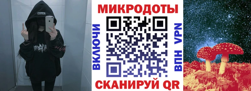 наркошоп  Алзамай  Галлюциногенные грибы прущие грибы 